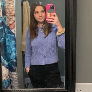 J. Crew Purple Cable Knit Long Sleeve Pullover Sweater M